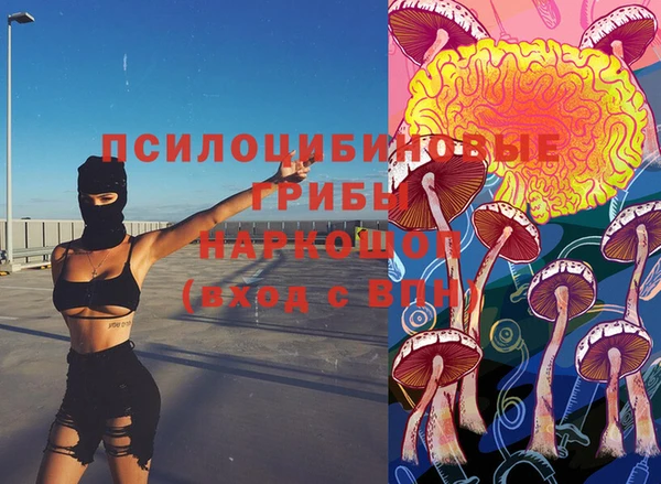 герыч Алексин