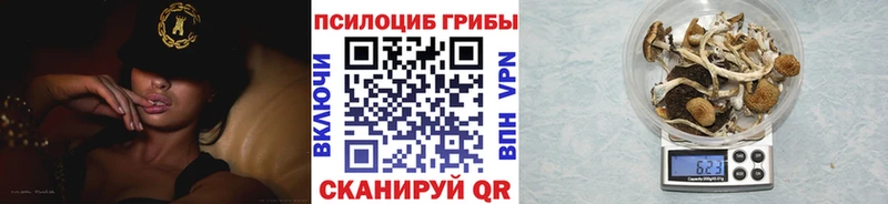 Галлюциногенные грибы Psilocybe  Владивосток 